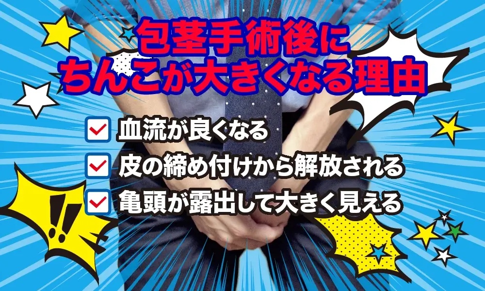 包茎手術後にちんこが大きくなるって本当?その理由を解説